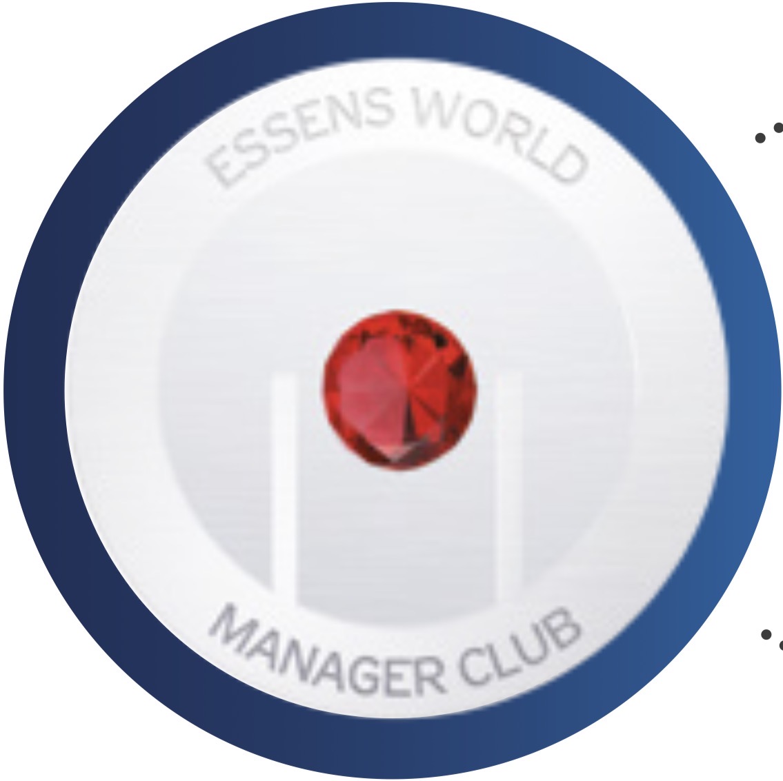 Platinum International Manager